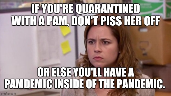 Pamdemic | IF YOU'RE QUARANTINED WITH A PAM, DON'T PISS HER OFF; OR ELSE YOU'LL HAVE A PAMDEMIC INSIDE OF THE PANDEMIC. | image tagged in the office,theoffice,pandemic | made w/ Imgflip meme maker