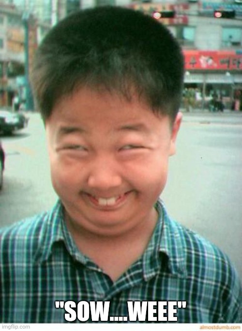 funny asian face | "SOW....WEEE" | image tagged in funny asian face | made w/ Imgflip meme maker