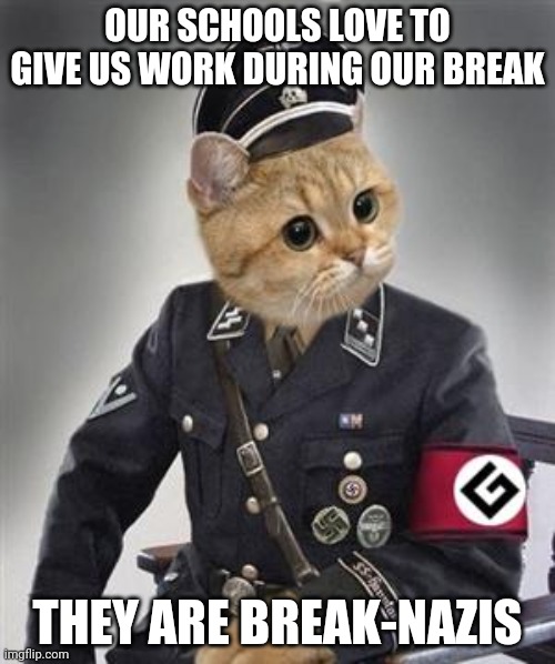 No Work, Pls | OUR SCHOOLS LOVE TO GIVE US WORK DURING OUR BREAK; THEY ARE BREAK-NAZIS | image tagged in grammar nazi cat | made w/ Imgflip meme maker