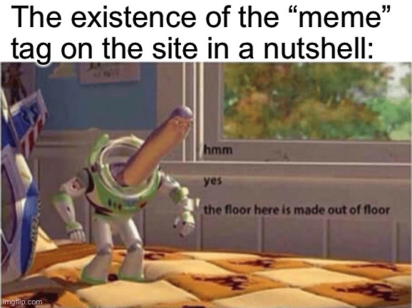 Hmm yes the meme here is made out of meme | The existence of the “meme” tag on the site in a nutshell: | image tagged in hmm yes the floor here is made out of floor,memes,funny,buzz lightyear | made w/ Imgflip meme maker