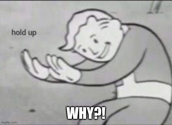 Fallout Hold Up | WHY?! | image tagged in fallout hold up | made w/ Imgflip meme maker