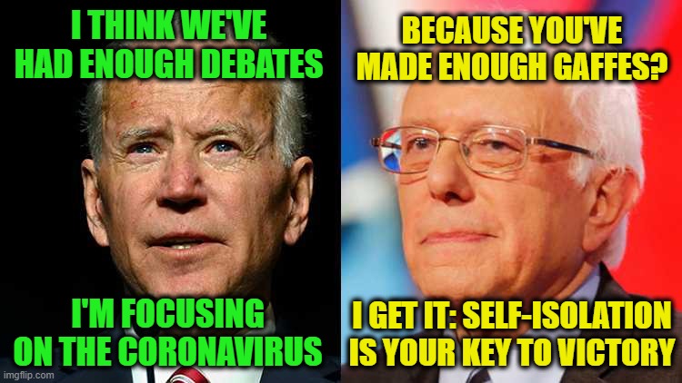 Less is More | BECAUSE YOU'VE MADE ENOUGH GAFFES? I THINK WE'VE HAD ENOUGH DEBATES; I'M FOCUSING ON THE CORONAVIRUS; I GET IT: SELF-ISOLATION IS YOUR KEY TO VICTORY | image tagged in joe biden,bernie sanders | made w/ Imgflip meme maker