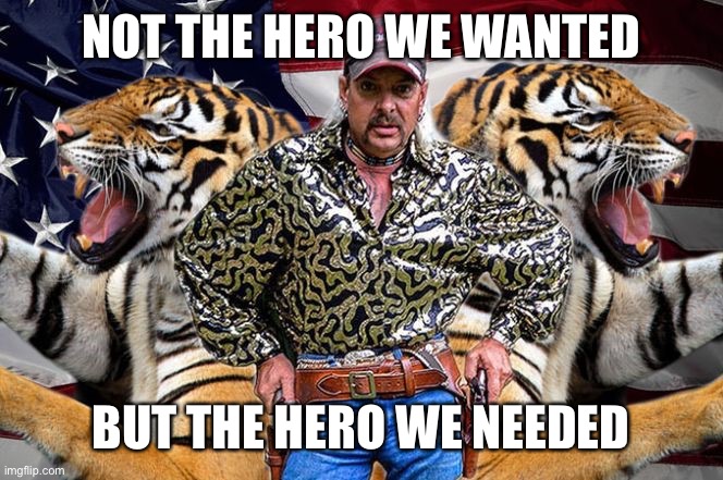 tiger king | NOT THE HERO WE WANTED; BUT THE HERO WE NEEDED | image tagged in tiger king | made w/ Imgflip meme maker