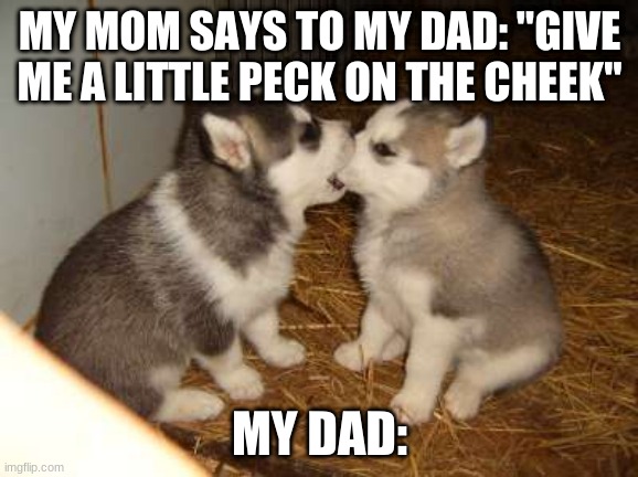 Cute Puppies Meme | MY MOM SAYS TO MY DAD: "GIVE ME A LITTLE PECK ON THE CHEEK"; MY DAD: | image tagged in memes,cute puppies | made w/ Imgflip meme maker