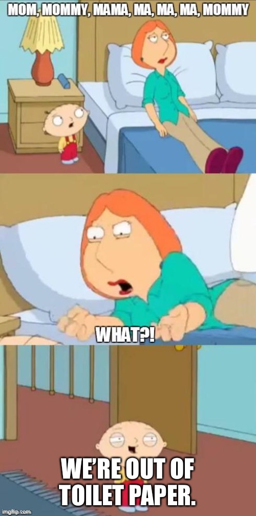family guy mommy | WE’RE OUT OF TOILET PAPER. | image tagged in family guy mommy | made w/ Imgflip meme maker