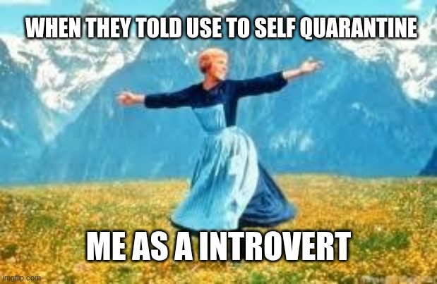 Look At All These Meme | WHEN THEY TOLD USE TO SELF QUARANTINE; ME AS A INTROVERT | image tagged in memes,look at all these | made w/ Imgflip meme maker