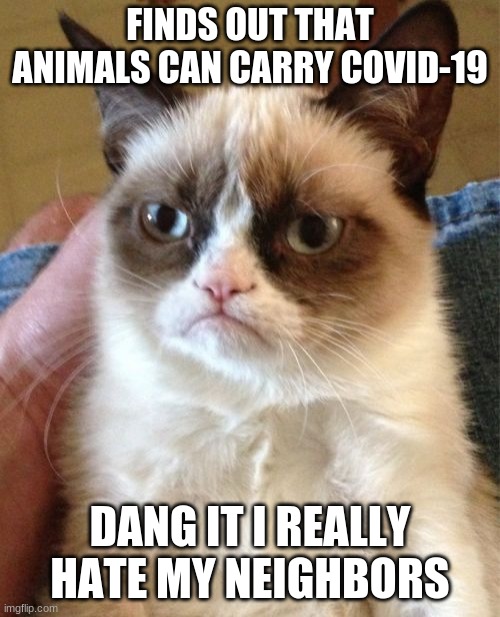 Grumpy Cat Meme | FINDS OUT THAT ANIMALS CAN CARRY COVID-19; DANG IT I REALLY HATE MY NEIGHBORS | image tagged in memes,grumpy cat | made w/ Imgflip meme maker