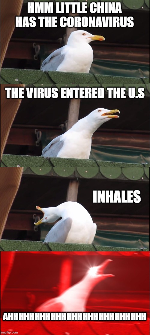 Inhaling Seagull Meme | HMM LITTLE CHINA HAS THE CORONAVIRUS; THE VIRUS ENTERED THE U.S; INHALES; AHHHHHHHHHHHHHHHHHHHHHHHHHH | image tagged in memes,inhaling seagull | made w/ Imgflip meme maker