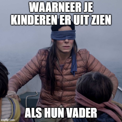 Bird Box | WAARNEER JE KINDEREN ER UIT ZIEN; ALS HUN VADER | image tagged in memes,bird box | made w/ Imgflip meme maker