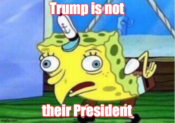 Mocking Spongebob Meme | Trump is not their President | image tagged in memes,mocking spongebob | made w/ Imgflip meme maker