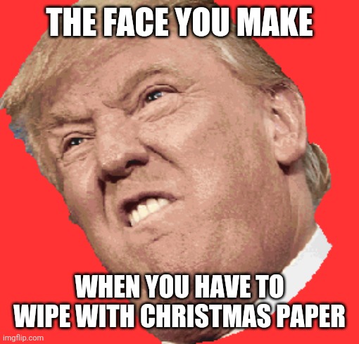Trump face | THE FACE YOU MAKE; WHEN YOU HAVE TO WIPE WITH CHRISTMAS PAPER | image tagged in trump face | made w/ Imgflip meme maker