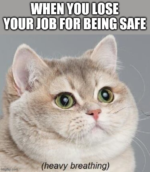 Heavy Breathing Cat Meme | WHEN YOU LOSE YOUR JOB FOR BEING SAFE | image tagged in memes,heavy breathing cat | made w/ Imgflip meme maker