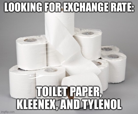 toilet paper | LOOKING FOR EXCHANGE RATE:; TOILET PAPER, KLEENEX, AND TYLENOL | image tagged in toilet paper | made w/ Imgflip meme maker