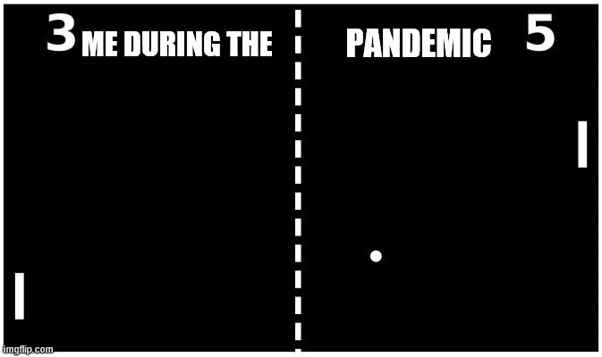 Pong | ME DURING THE; PANDEMIC | image tagged in pong | made w/ Imgflip meme maker