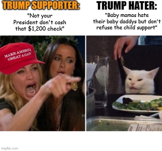 Woman Yelling At Cat Not Your President Don't Spend Stimulus | "Baby mamas hate their baby daddys but don't refuse the child support"; "Not your President don't cash that $1,200 check" | image tagged in woman yelling at cat not your president don't spend stimulus | made w/ Imgflip meme maker