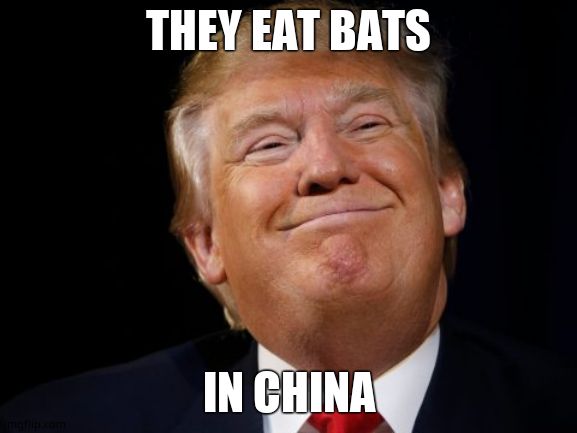 Smug Trump | THEY EAT BATS IN CHINA | image tagged in smug trump | made w/ Imgflip meme maker