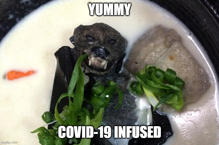 Bat Meal | YUMMY; COVID-19 INFUSED | image tagged in food | made w/ Imgflip meme maker