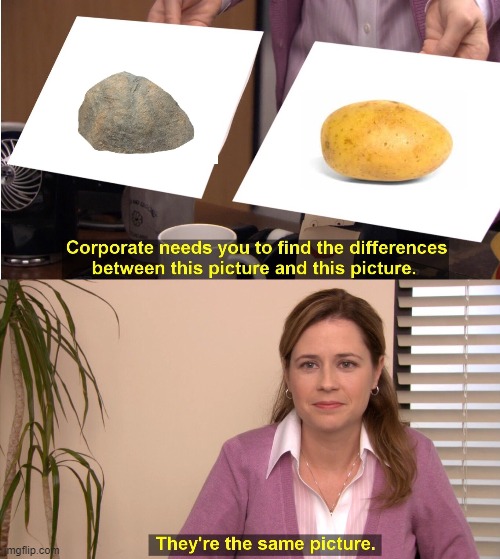 They're The Same Picture | image tagged in memes,they're the same picture | made w/ Imgflip meme maker