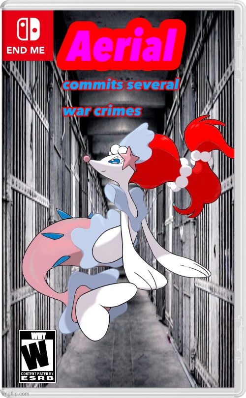 AERIAL NO- | W; WHY | made w/ Imgflip meme maker