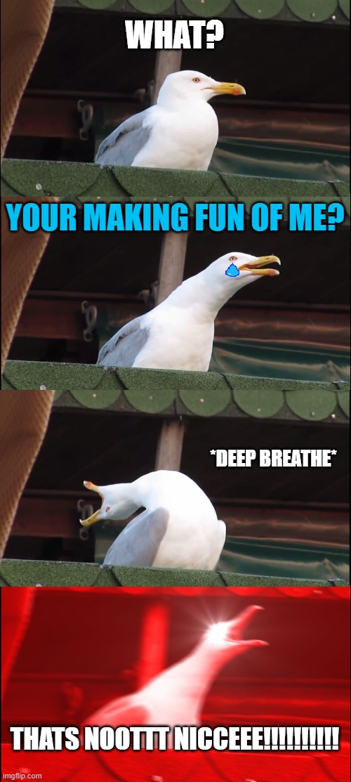 Inhaling Seagull | WHAT? YOUR MAKING FUN OF ME? *DEEP BREATHE*; THATS NOOTTT NICCEEE!!!!!!!!!! | image tagged in memes,inhaling seagull | made w/ Imgflip meme maker
