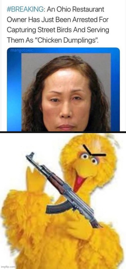 One Pissed Off Bird | image tagged in angry big bird | made w/ Imgflip meme maker