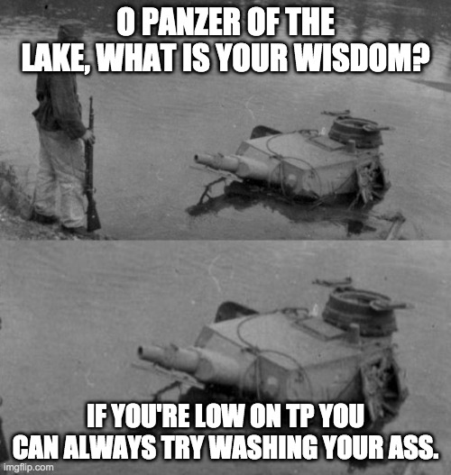 Panzer of the lake | O PANZER OF THE LAKE, WHAT IS YOUR WISDOM? IF YOU'RE LOW ON TP YOU CAN ALWAYS TRY WASHING YOUR ASS. | image tagged in panzer of the lake | made w/ Imgflip meme maker