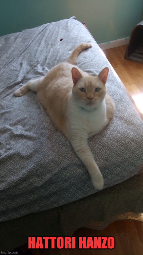 HATTORI HANZO | made w/ Imgflip meme maker