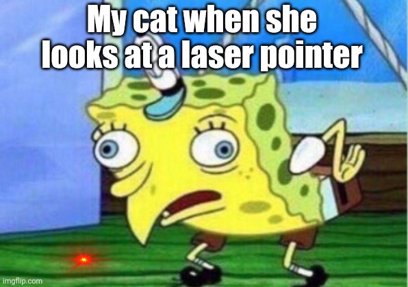 WHeRE DiD THaT GO | My cat when she looks at a laser pointer | image tagged in memes,mocking spongebob,cats,cat,lasers,spongebob | made w/ Imgflip meme maker