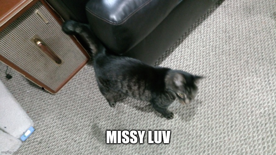 MISSY LUV | made w/ Imgflip meme maker