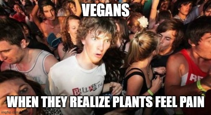Sudden Clarity Clarence | VEGANS; WHEN THEY REALIZE PLANTS FEEL PAIN | image tagged in memes,sudden clarity clarence | made w/ Imgflip meme maker