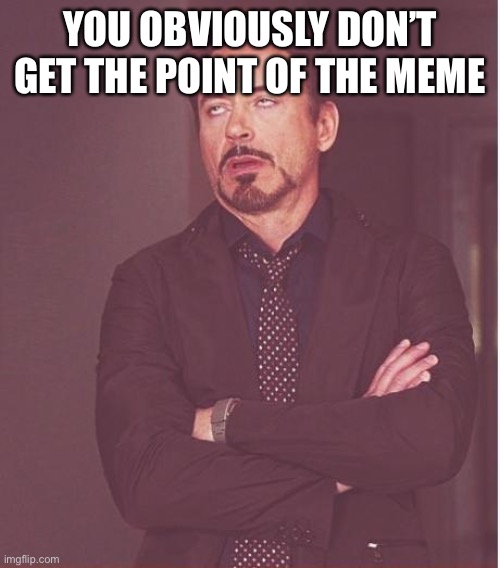 Face You Make Robert Downey Jr Meme | YOU OBVIOUSLY DON’T GET THE POINT OF THE MEME | image tagged in memes,face you make robert downey jr | made w/ Imgflip meme maker