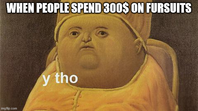 Y Tho | WHEN PEOPLE SPEND 300$ ON FURSUITS | image tagged in y tho | made w/ Imgflip meme maker