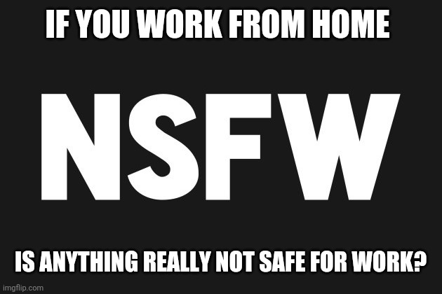 A Fair Question | IF YOU WORK FROM HOME; IS ANYTHING REALLY NOT SAFE FOR WORK? | image tagged in work from home,nsfw | made w/ Imgflip meme maker