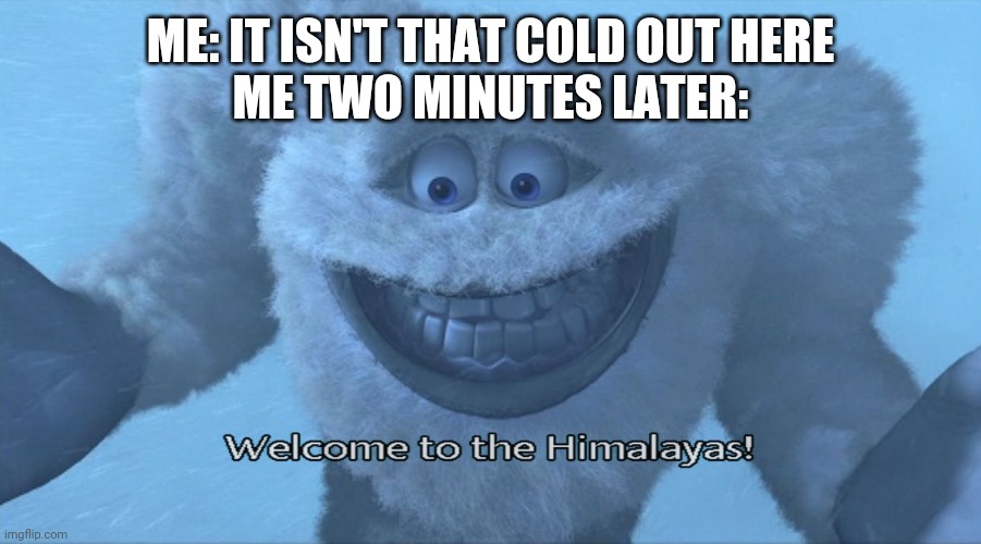 Welcome to the himalayas | ME: IT ISN'T THAT COLD OUT HERE
ME TWO MINUTES LATER: | image tagged in welcome to the himalayas | made w/ Imgflip meme maker