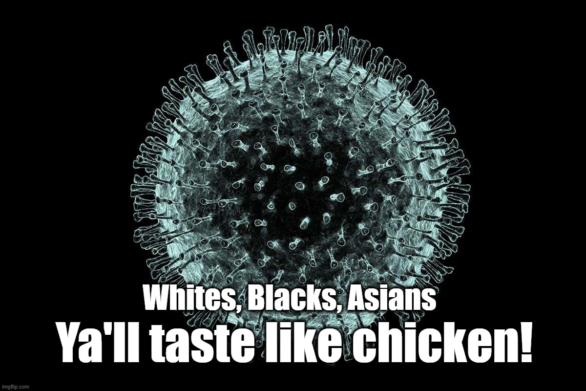 Ya'll taste like chicken! | Whites, Blacks, Asians; Ya'll taste like chicken! | image tagged in coronavirus,virus | made w/ Imgflip meme maker