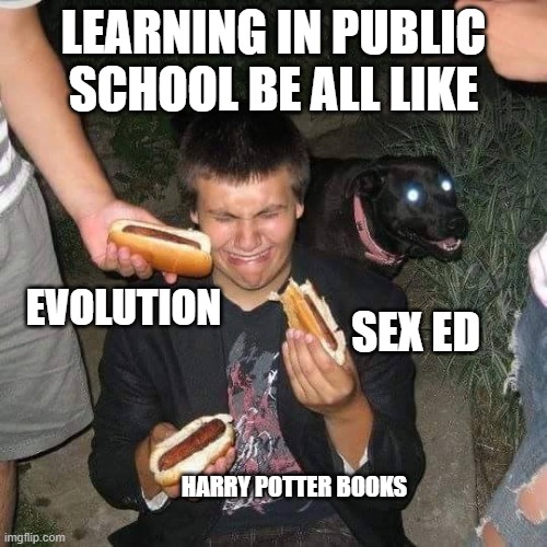 LEARNING IN PUBLIC SCHOOL BE ALL LIKE; EVOLUTION; SEX ED; HARRY POTTER BOOKS | image tagged in too many hot dogs,hot dogs,dog,parody | made w/ Imgflip meme maker