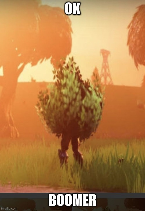 Fortnite bush | OK; BOOMER | image tagged in fortnite bush | made w/ Imgflip meme maker