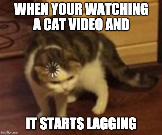 Loading cat | WHEN YOUR WATCHING A CAT VIDEO AND; IT STARTS LAGGING | image tagged in loading cat | made w/ Imgflip meme maker