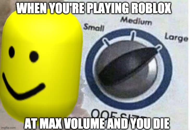 WHEN YOU'RE PLAYING ROBLOX; AT MAX VOLUME AND YOU DIE | image tagged in oof,roblox oof | made w/ Imgflip meme maker