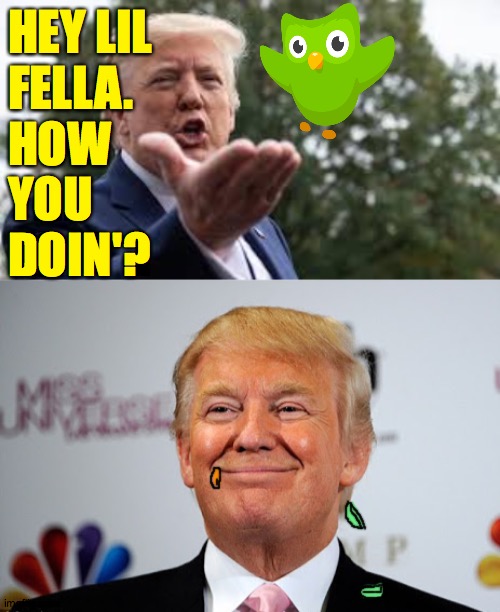 The rat that ate the canary. | HEY LIL
FELLA.
HOW
YOU
DOIN'? | image tagged in donald trump approves,memes | made w/ Imgflip meme maker