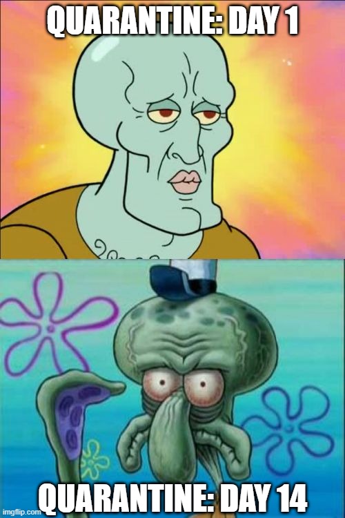 It Takes It's Toll | QUARANTINE: DAY 1; QUARANTINE: DAY 14 | image tagged in memes,squidward | made w/ Imgflip meme maker