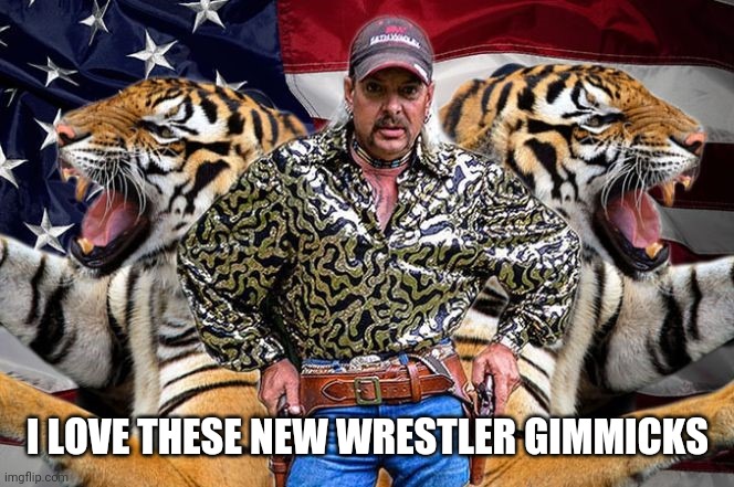 tiger king | I LOVE THESE NEW WRESTLER GIMMICKS | image tagged in tiger king | made w/ Imgflip meme maker