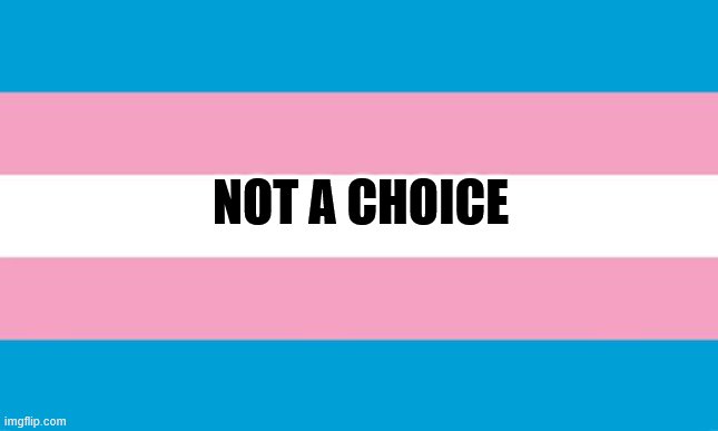 truth | NOT A CHOICE | image tagged in transgender flag,transgender,transgender bathroom,gay pride,lgbt,sex | made w/ Imgflip meme maker