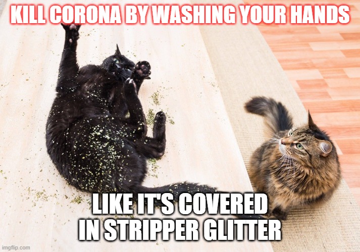 Glitter | KILL CORONA BY WASHING YOUR HANDS; LIKE IT'S COVERED IN STRIPPER GLITTER | image tagged in glitter | made w/ Imgflip meme maker