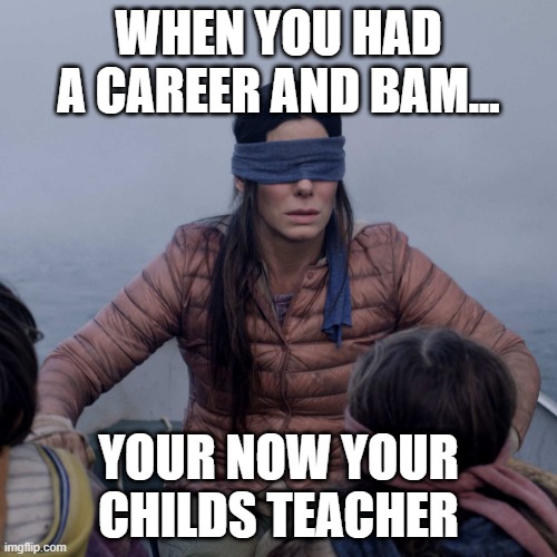 Bird Box Meme | WHEN YOU HAD A CAREER AND BAM... YOUR NOW YOUR CHILDS TEACHER | image tagged in memes,bird box | made w/ Imgflip meme maker