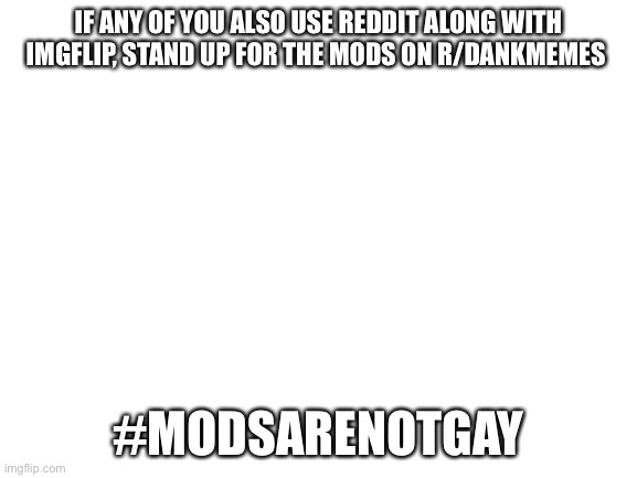 Sorry if this sounds cringe, but how would you like it if you were called gay for no good reason? | IF ANY OF YOU ALSO USE REDDIT ALONG WITH IMGFLIP, STAND UP FOR THE MODS ON R/DANKMEMES; #MODSARENOTGAY | image tagged in blank white template | made w/ Imgflip meme maker