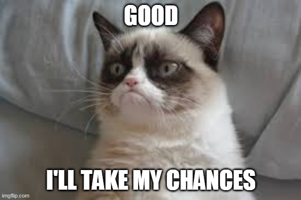 Grumpy cat | GOOD I'LL TAKE MY CHANCES | image tagged in grumpy cat | made w/ Imgflip meme maker