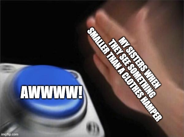 Blank Nut Button Meme | MY SISTERS WHEN THEY SEE SOMETHING SMALLER THAN A CLOTHES HAMPER; AWWWW! | image tagged in memes,blank nut button | made w/ Imgflip meme maker