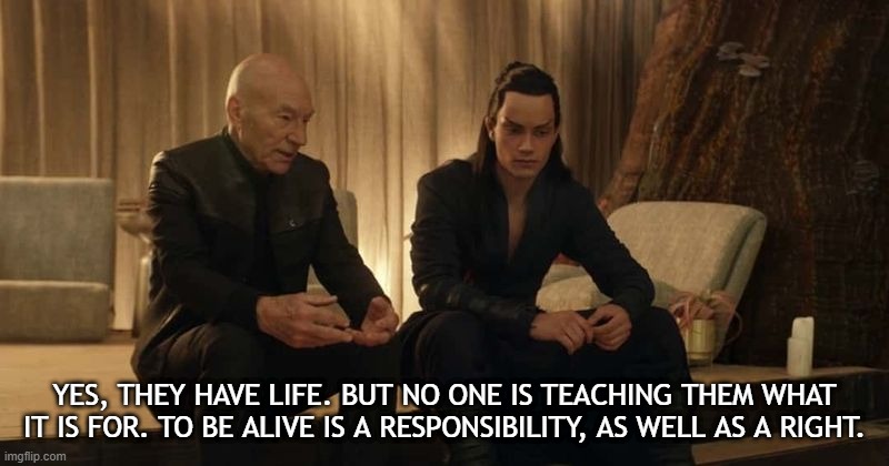 YES, THEY HAVE LIFE. BUT NO ONE IS TEACHING THEM WHAT IT IS FOR. TO BE ALIVE IS A RESPONSIBILITY, AS WELL AS A RIGHT. | image tagged in picard,life,responsibility | made w/ Imgflip meme maker