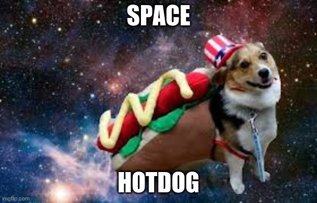  SPACE; HOTDOG | made w/ Imgflip meme maker